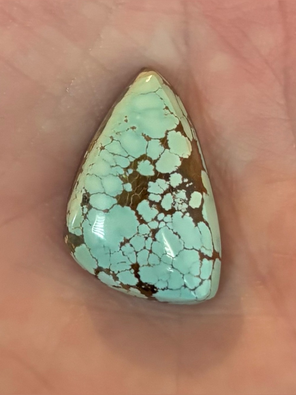 Natural Stone Art Studio High Grade Iron Maiden Turquoise Cab